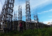 100 Cattedrale vegetale del Pizzo Arera